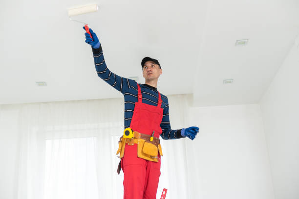 Mold Odor Removal Services in Pelican Rapids, MN